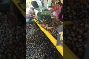 ETOK SALAI VIRAL WARISAN GUNUNG 7 ETOK SALAI VIRAL WARISAN GUNUNG