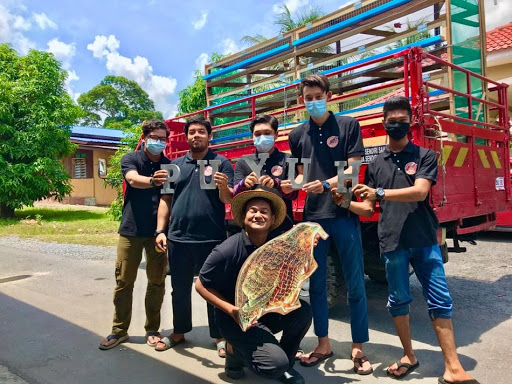 PUYUH ORGAPAH PUYUH ORGAPAH
