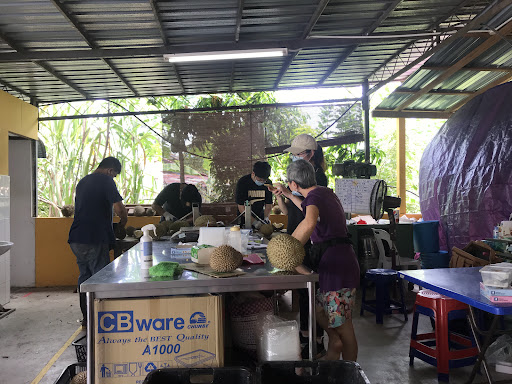 Shan Cheng Durian Penang 山城果皇