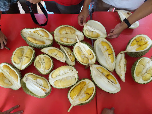 Raub Durian Orchard