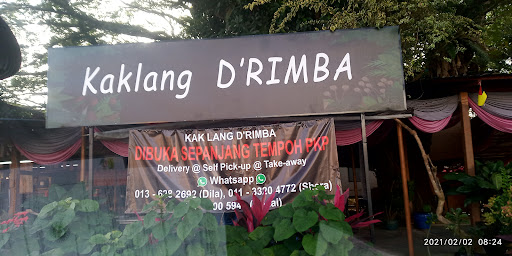 Kak Lang D'Rimba
