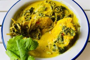 Gulai nogori