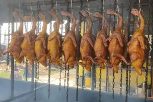 ITIK SALAI TEMERLOH 5 ITIK SALAI TEMERLOH