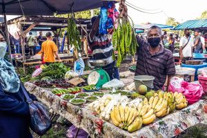 Nat Pokok Getah 8 Nat Pokok Getah