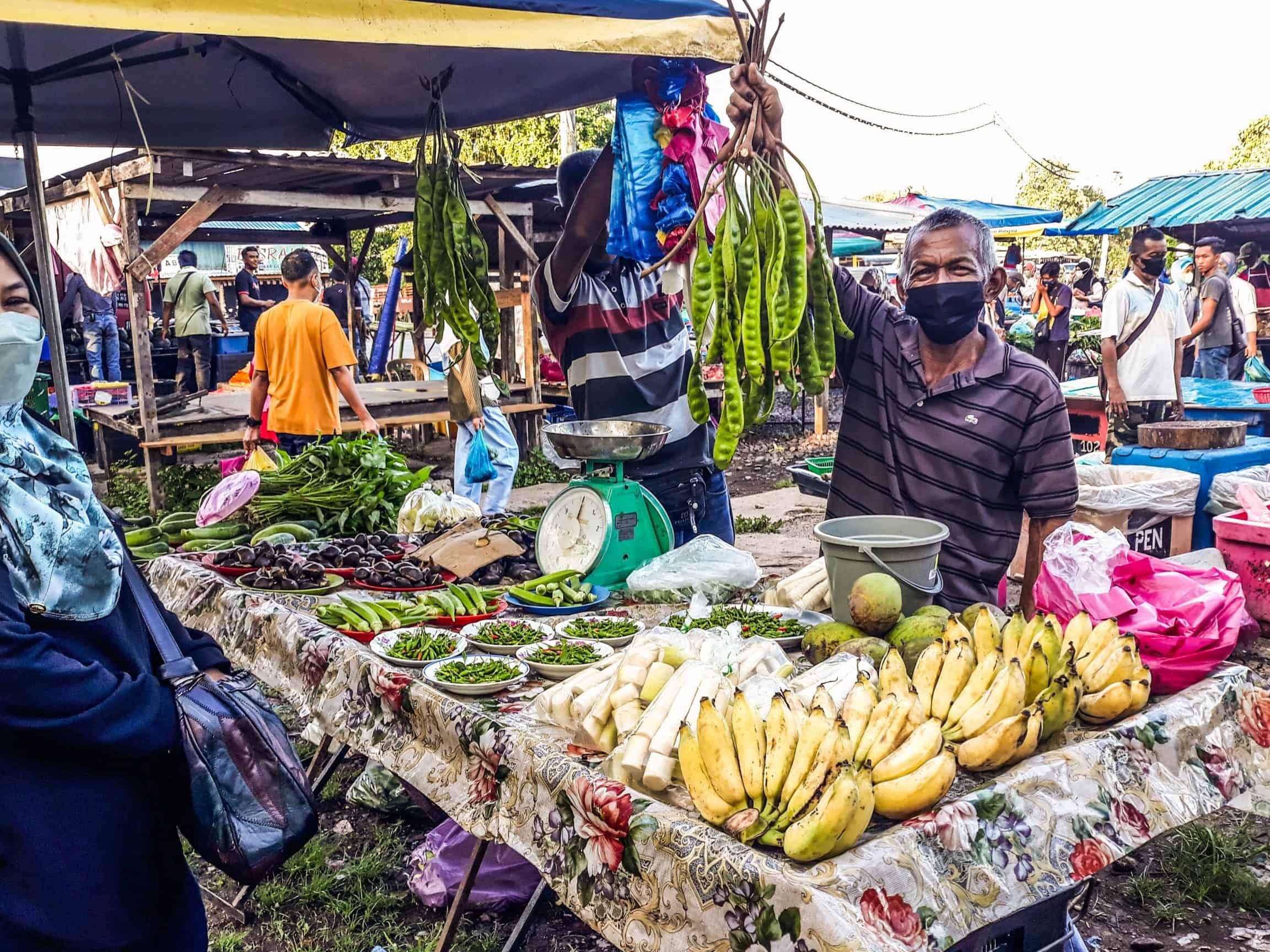 Nat Pokok Getah 1 nat pokok getah
