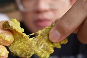 Salai di Alor Gajah, Malaysia: Destinasi Menarik dengan Keunikan Sejarah dan Alam