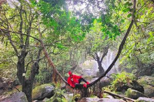 Salai di Bidor, Malaysia: Destinasi Menarik dengan Keunikan Budaya dan Alam Semula Jadi 2 Salai di Bidor, Malaysia: Destinasi Menarik dengan Keunikan Budaya dan Alam Semula Jadi