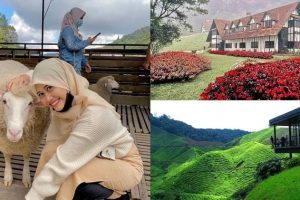 Salai di Cameron Highlands, Malaysia: Destinasi Menarik untuk Percutian Santai