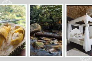 Salai di Raub, Malaysia: Tempat Menarik & Aktiviti Terbaik untuk Dilakukan