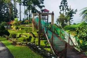 Salai di Taiping, Malaysia: Destinasi Menarik untuk Lawatan dan Pengalaman Unik 6 Salai di Taiping, Malaysia: Destinasi Menarik untuk Lawatan dan Pengalaman Unik