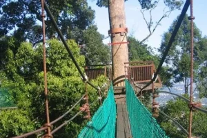 Salai di Tawau, Malaysia: Destinasi Tersembunyi Penuh Keunikan dan Sejarah