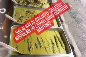 Salai Salai Daliayu Selero Nismilan