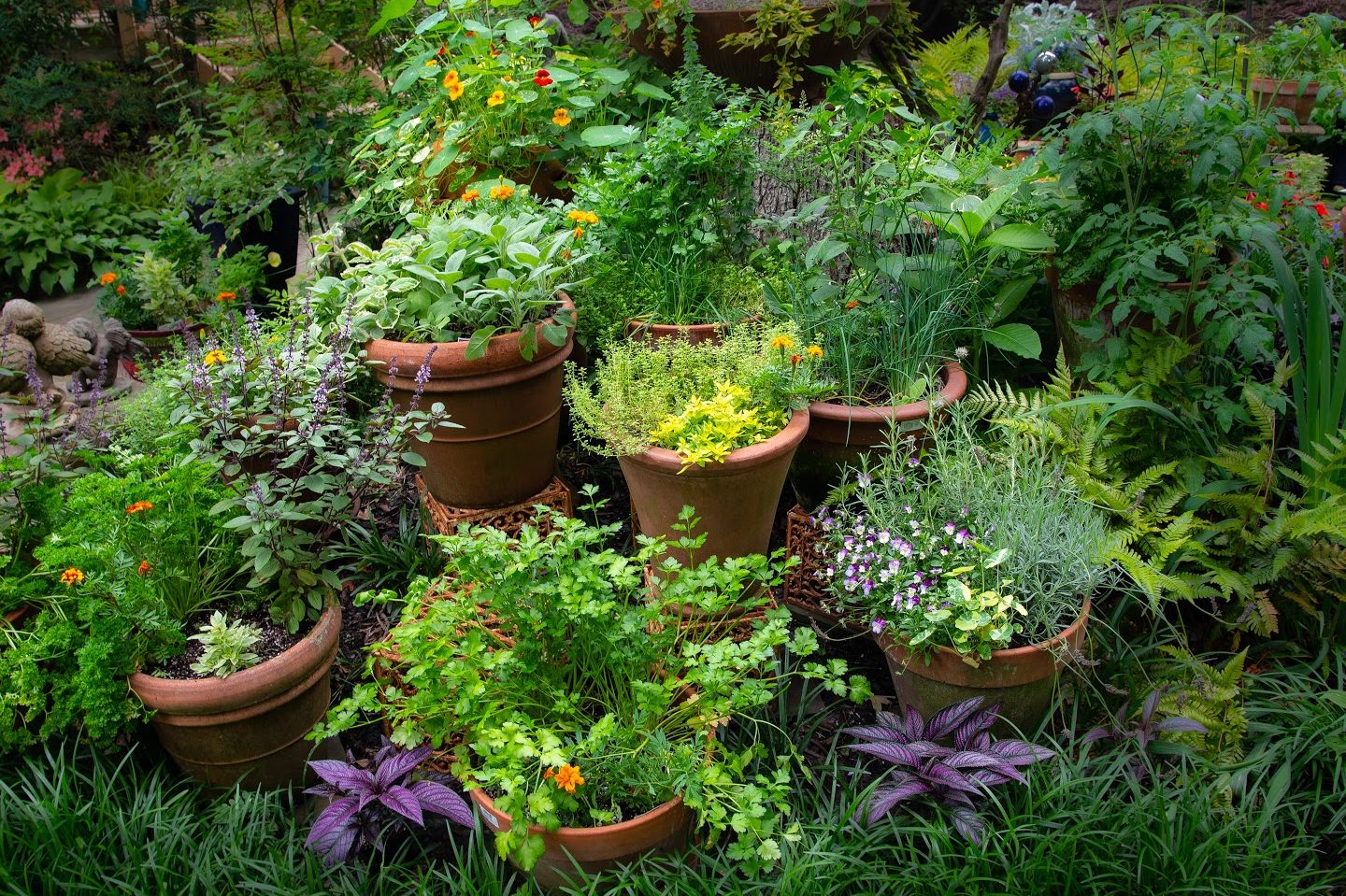 spice garden