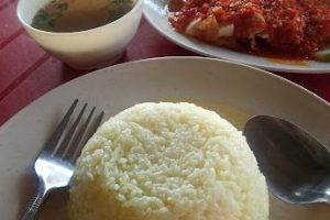 Aneka Nasi Ayam Puteri