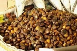 Etok salai sedap kota Bharu 6 Etok salai sedap kota Bharu