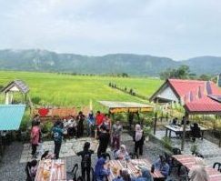 Warung Tepi Sawah 2769 4 Warung Tepi Sawah 2769
