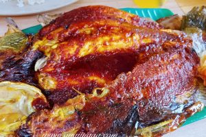 Bako-Bako & Salai-Salai 5 Bako-Bako & Salai-Salai