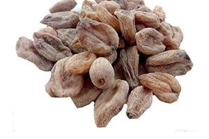 Salai3beradik